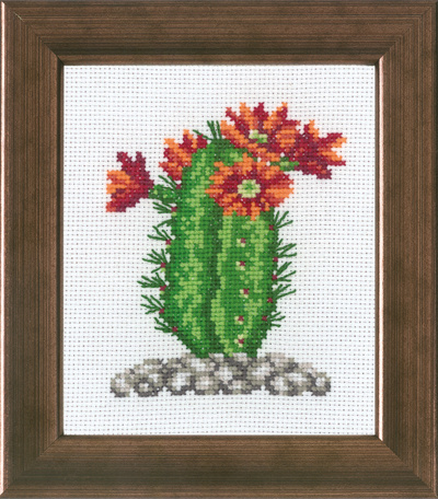 Kaktus orange