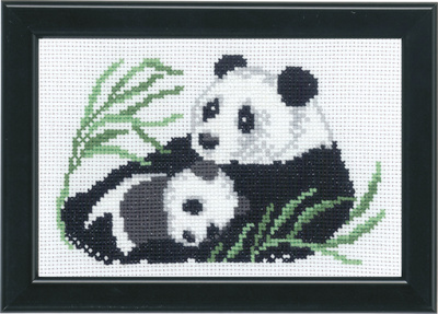 Panda unge